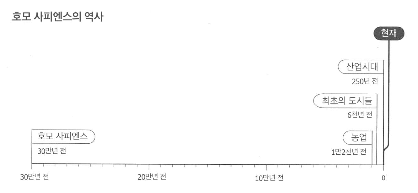 이 이미지는 ‘호모 사피엔스의 역사’를 보여주는 선형 연대기 그래프입니다. 30만 년 전 ‘호모 사피엔스’의 등장으로 시작하여, 1만 2천 년 전의 ‘농업’ 출현, 6천 년 전의 ‘최초의 도시들’ 등장, 250년 전의 ‘산업시대’ 시작과 같은 중요한 발전들을 표시하고 있으며, ‘현재’로 끝납니다.